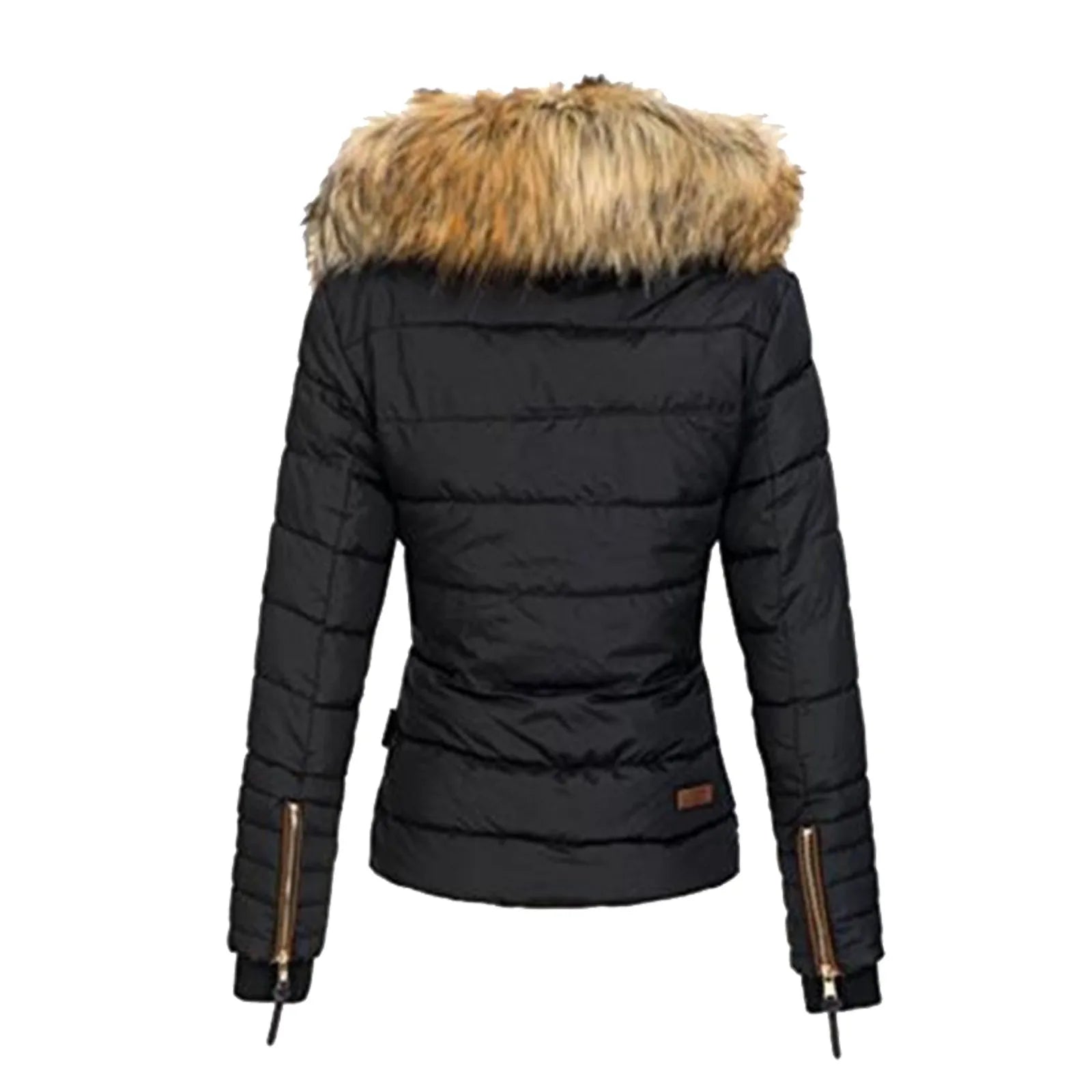Winter Plus Size Collar Zipper Padded Jacket